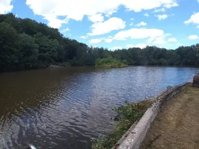 Vue sur la rivière ou le fleuve situé(e) à proximité de la maison de vacances