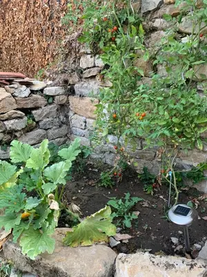 Jardin de l'établissement L'Arbois 1876-La Verrière-