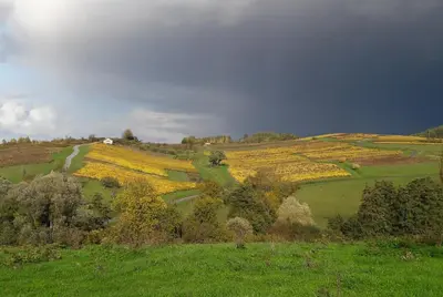 Paysage naturel près de le séjour chez l'habitant