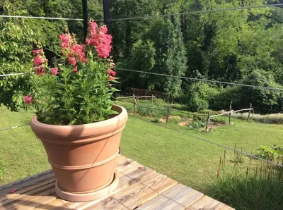 Jardin de l'établissement Maison du Rostaing