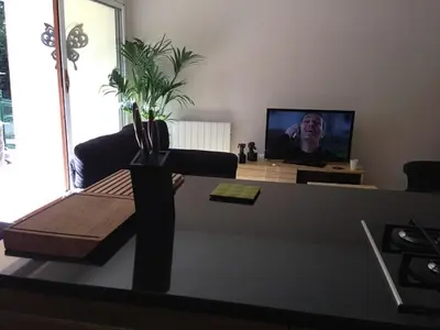 Télévision ou salle de divertissement dans l'établissement L'Appartement