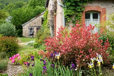 Jardin de l'établissement Maison de vacances Les Mésanges, à Ménessaire