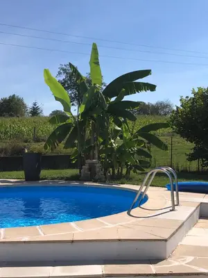 Piscine de l'établissement Petite Maison de campagne dépaysante ou située à proximité