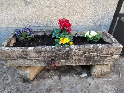 Plan de l'établissement Les ammonites gîte de charme en Bourgogne