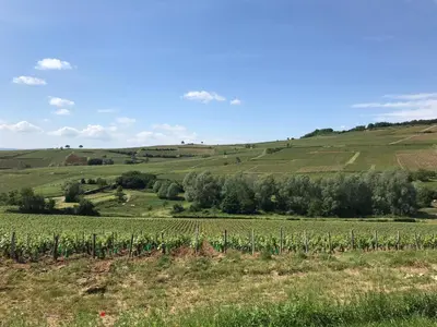 Paysage naturel près de le B&B/chambre d'hôtes
