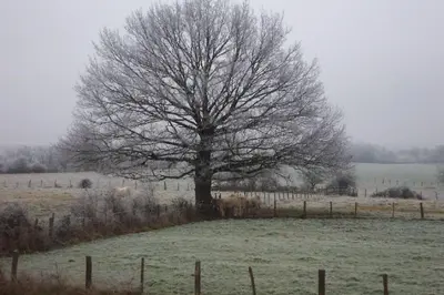 L'établissement le Chaumois en hiver