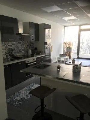 Cuisine ou kitchenette dans l'établissement L’appartement charmant