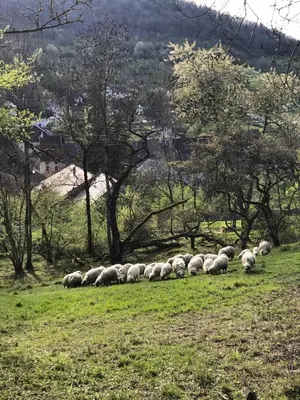Paysage naturel près de la maison de vacances