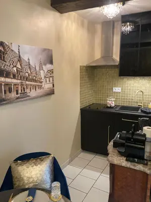 Cuisine ou kitchenette dans l'établissement LE TOUT JOLI NID BEAUNOIS, Studio Plein centre parking