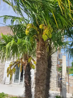 Jardin de l'établissement Domaine Ravy-Lilas