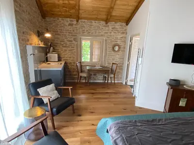 Télévision ou salle de divertissement dans l'établissement Château de Chatenay - Macon