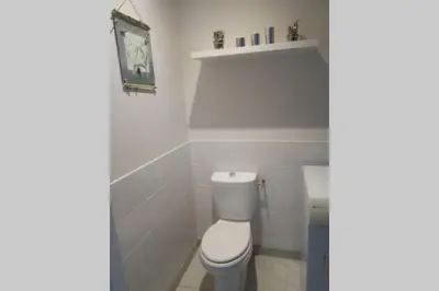 Salle de bains dans l'établissement Appt 1 à 4 pers Cocoon,1,500 km sortie auto, 3 km Ctre Mâcon, PKG cour privée