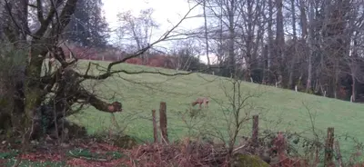 Paysage naturel près de le séjour chez l'habitant