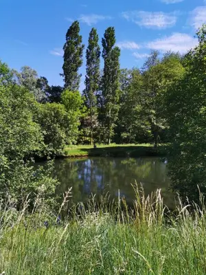 Paysage naturel près de la maison de vacances