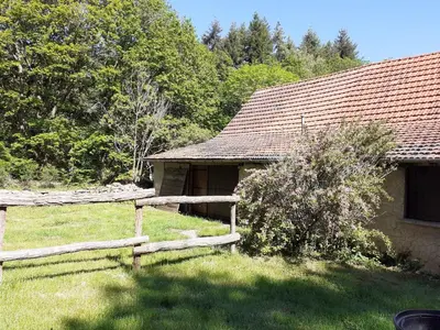 Jardin de l'établissement Le grand bonheur