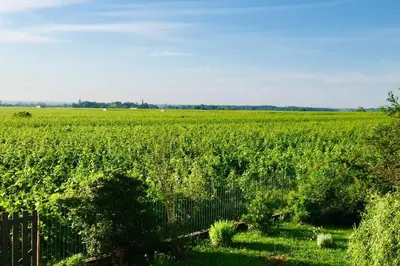 Paysage naturel près de l'appartement