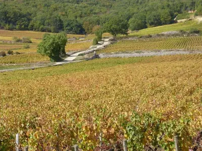 Paysage naturel près de la maison de vacances