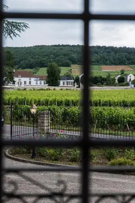 Paysage naturel près de l'hôtel