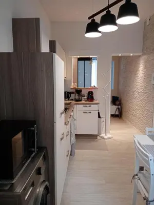 Cuisine ou kitchenette dans l'établissement Le petit Saint Bernard