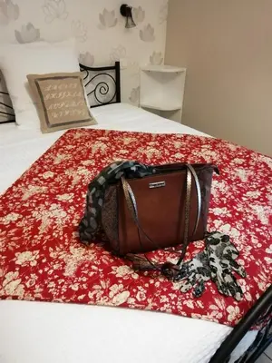 Un ou plusieurs lits dans un hébergement de l'établissement Gite meublé et Chambre d'hôtes LE PUITS DARCY