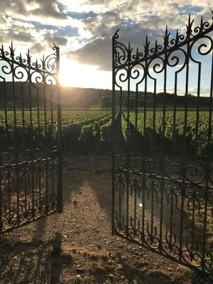 Lever ou coucher de soleil vu de le B&B/chambre d'hôtes ou à proximité