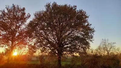Lever ou coucher de soleil vu de l'auberge ou à proximité