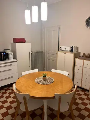 Cuisine ou kitchenette dans l'établissement Charmante maison bourguignonne avec grand jardin et parking