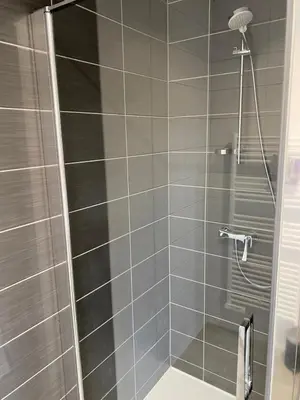 Salle de bains dans l'établissement Black And White Swallow Fuiss