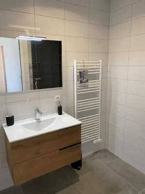Salle de bains dans l'établissement Black And White Swallow Fuiss