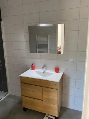 Salle de bains dans l'établissement Les Hirondelles De Fuiss