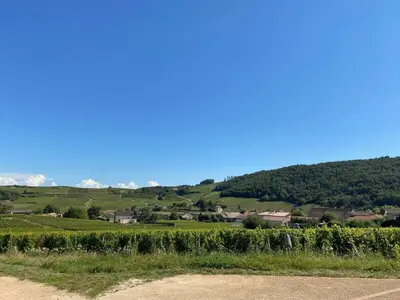 Paysage naturel près de l'appartement