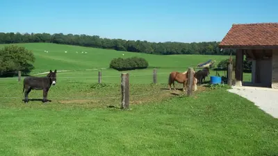 Animaux dans la maison de vacances ou à proximité