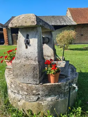 Jardin de l'établissement commealaferme71.vacances