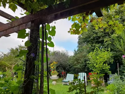 Jardin de l'établissement Aux Glycines
