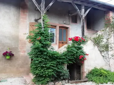 Jardin de l'établissement La Maison MOJA