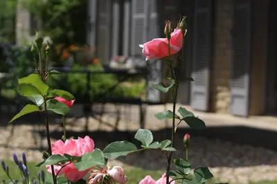 Jardin de l'établissement Chez Sophie et Benoit