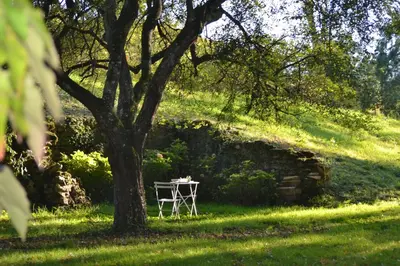 Jardin de l'établissement Le Domaine de Moroges