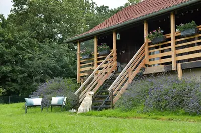 Jardin de l'établissement Le Chalet d’Eliot