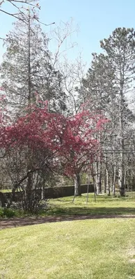 Jardin de l'établissement Chambres d'hôtes La Maison d'Après