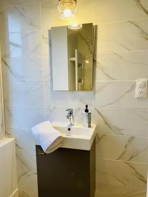 Salle de bains dans l'établissement Suite 24 Appart'hôtel-L'Annexe-3 étoiles