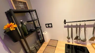 Cuisine ou kitchenette dans l'établissement Mille et une nuit, appartement classé 3 étoiles en RDC avec exterieur et parking