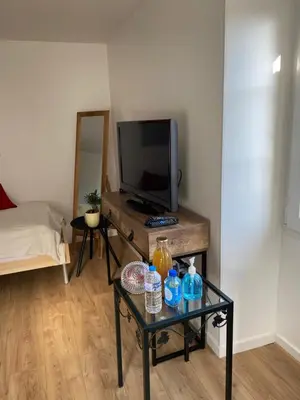 Télévision ou salle de divertissement dans l'établissement Aux portes du Val d'Amour