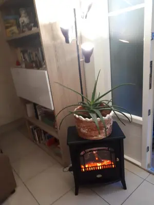 Bibliothèque dans le séjour chez l'habitant