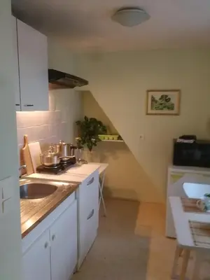 Cuisine ou kitchenette dans l'établissement Arbois, joli petit appartement plein centre
