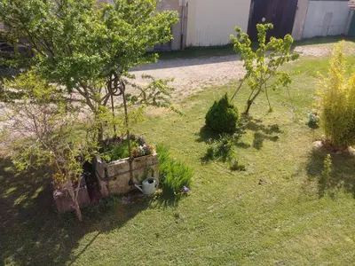 Jardin de l'établissement 2 chambres au calme à la Maison des Bambous