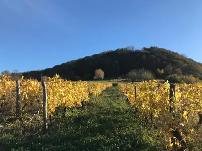 Paysage naturel près de l'appartement