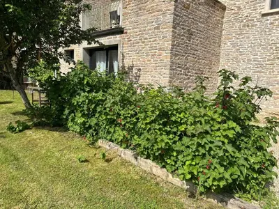 Jardin de l'établissement Appartement 3 étoiles tout confort et spacieux en campagne bourguignonne
