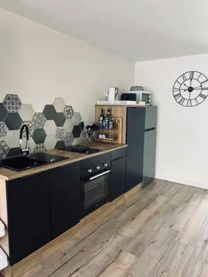 Cuisine ou kitchenette dans l'établissement Appartement 3 étoiles tout confort et spacieux en campagne bourguignonne