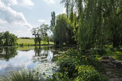Paysage naturel près de l'appartement