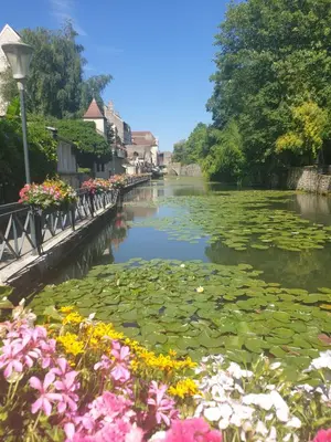 Vue sur la rivière ou le fleuve situé(e) à proximité de l'appartement